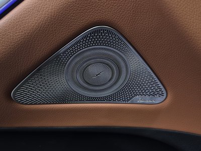 2021 Mercedes-BENZ S-CLASS 缩略图 30