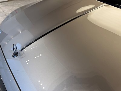 2024 Mercedes-BENZ S-CLASS MAYBACH 缩略图 30