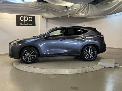 LEXUS NX - 10