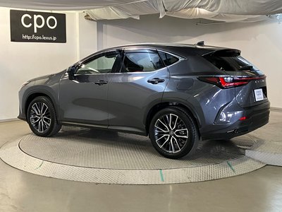 LEXUS NX - 2