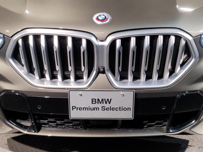 2023 BMW X6 缩略图 14
