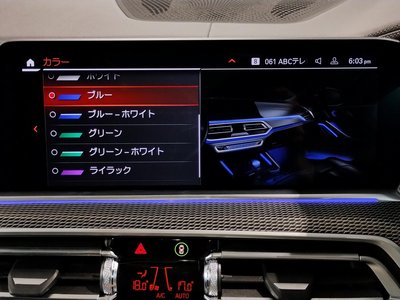 2023 BMW X6 缩略图 63
