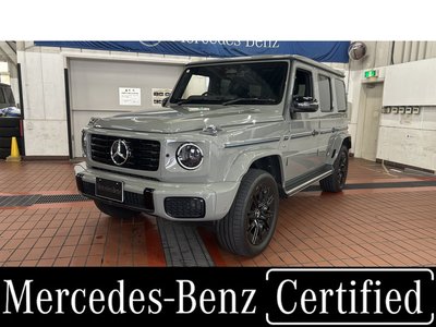 MERCEDES-BENZ G-CLASS - 1
