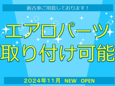 TOYOTA LAND CRUISER 300 - 2