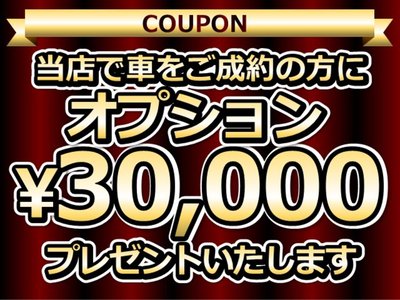 TOYOTA LAND CRUISER 300 - 2