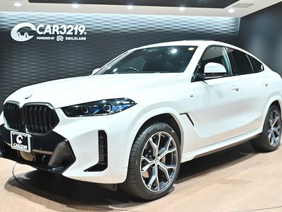 BMW X6 - 1