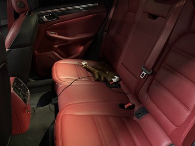 2023 Porsche MACAN — миниатюра 13
