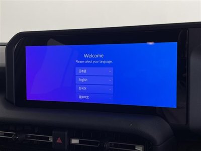 TOYOTA LAND CRUISER 250 - 3