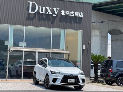 LEXUS RX - 9
