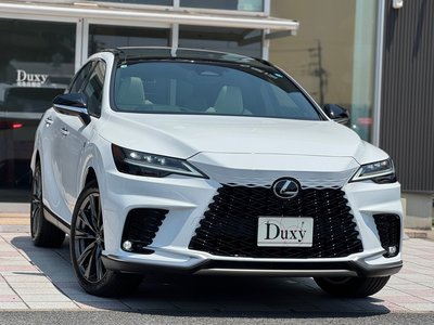LEXUS RX - 6