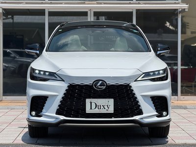 LEXUS RX - 10