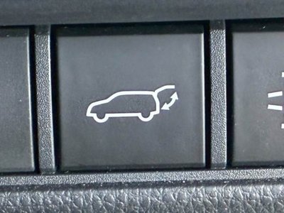 2024 Toyota LAND CRUISER 250 photo 9