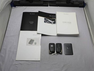 2015 Lexus NX 缩略图 29