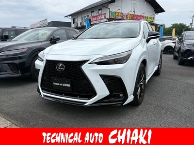 LEXUS NX - 1