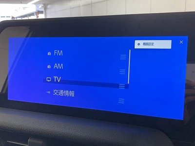 TOYOTA LAND CRUISER 250 - 3