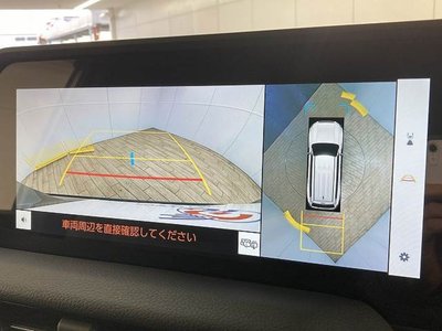 TOYOTA LAND CRUISER 250 - 4