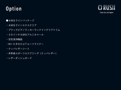 MERCEDES-BENZ G-CLASS - 2