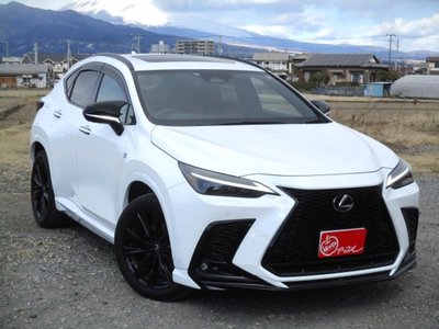 LEXUS NX - 4