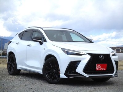 LEXUS NX - 1