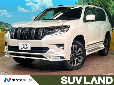 TOYOTA LAND CRUISER PRADO - 1
