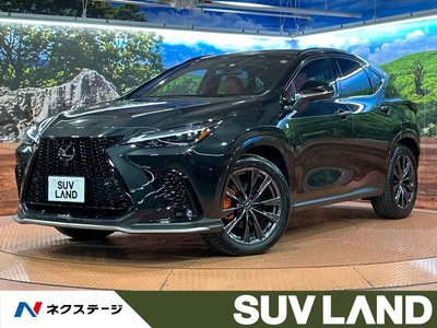 LEXUS NX - 1
