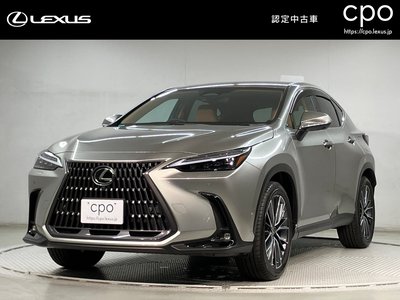 LEXUS NX - 1