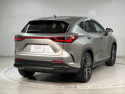 LEXUS NX - 4