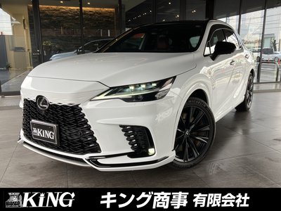 LEXUS RX - 1