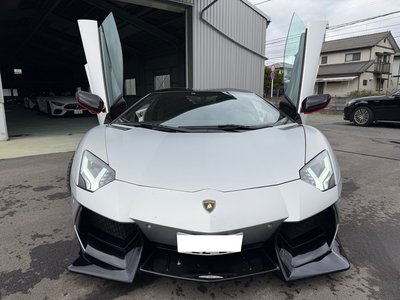 LAMBORGHINI AVENTADOR ROADSTER - 2