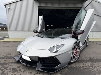 LAMBORGHINI AVENTADOR ROADSTER - 1
