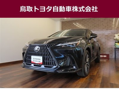 LEXUS NX - 1