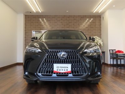 LEXUS NX - 2