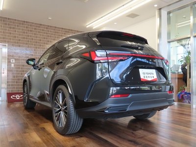 LEXUS NX - 6