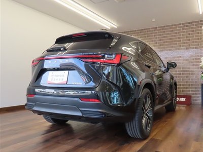 LEXUS NX - 4