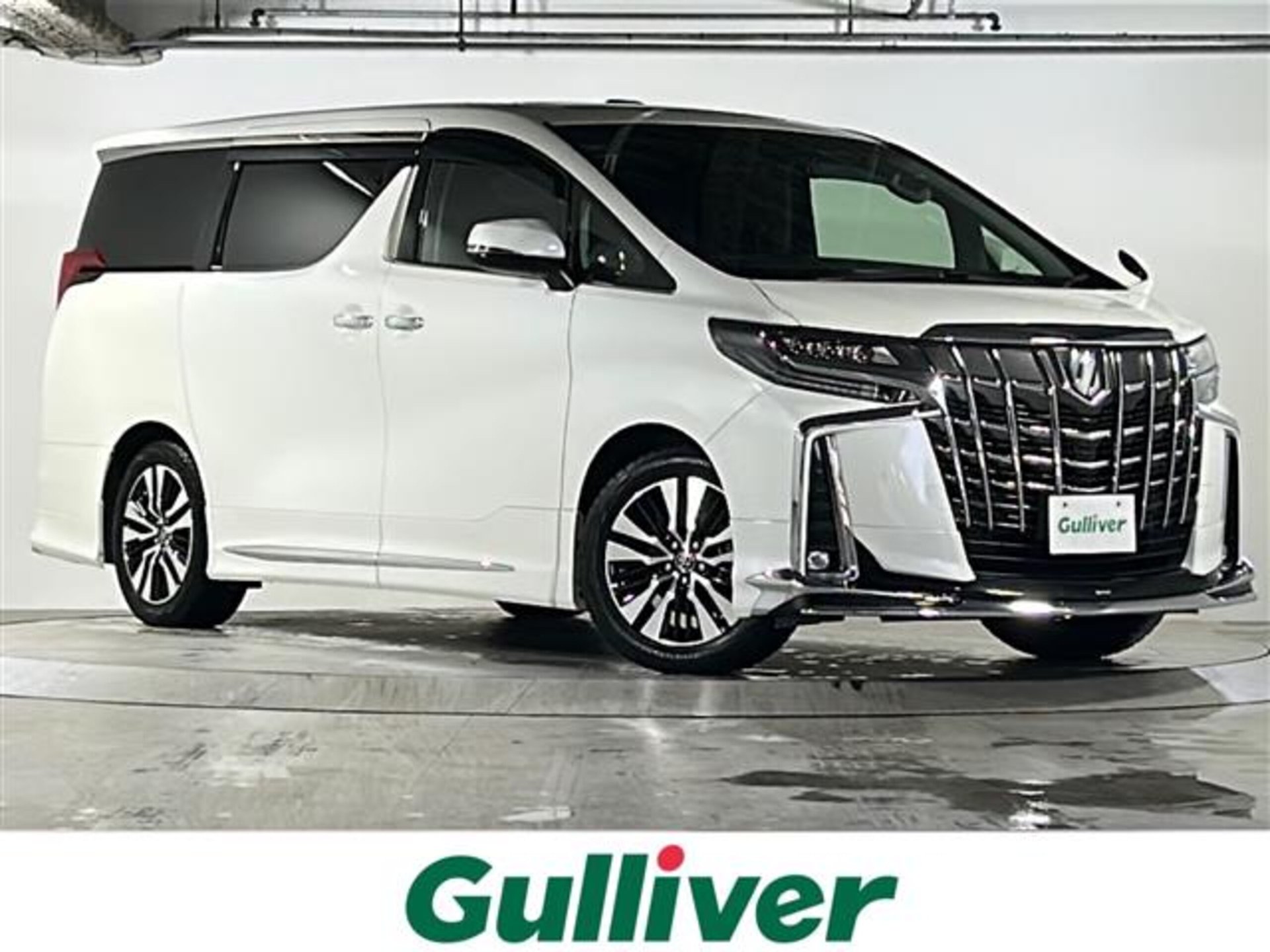 TOYOTA ALPHARD - View 1