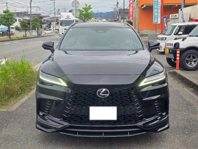 2023 Lexus RX 照片 1