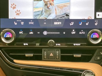 صورة مصغرة 31 لـ 2024 Lexus NX