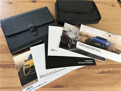 صورة مصغرة 52 لـ 2019 Lamborghini URUS