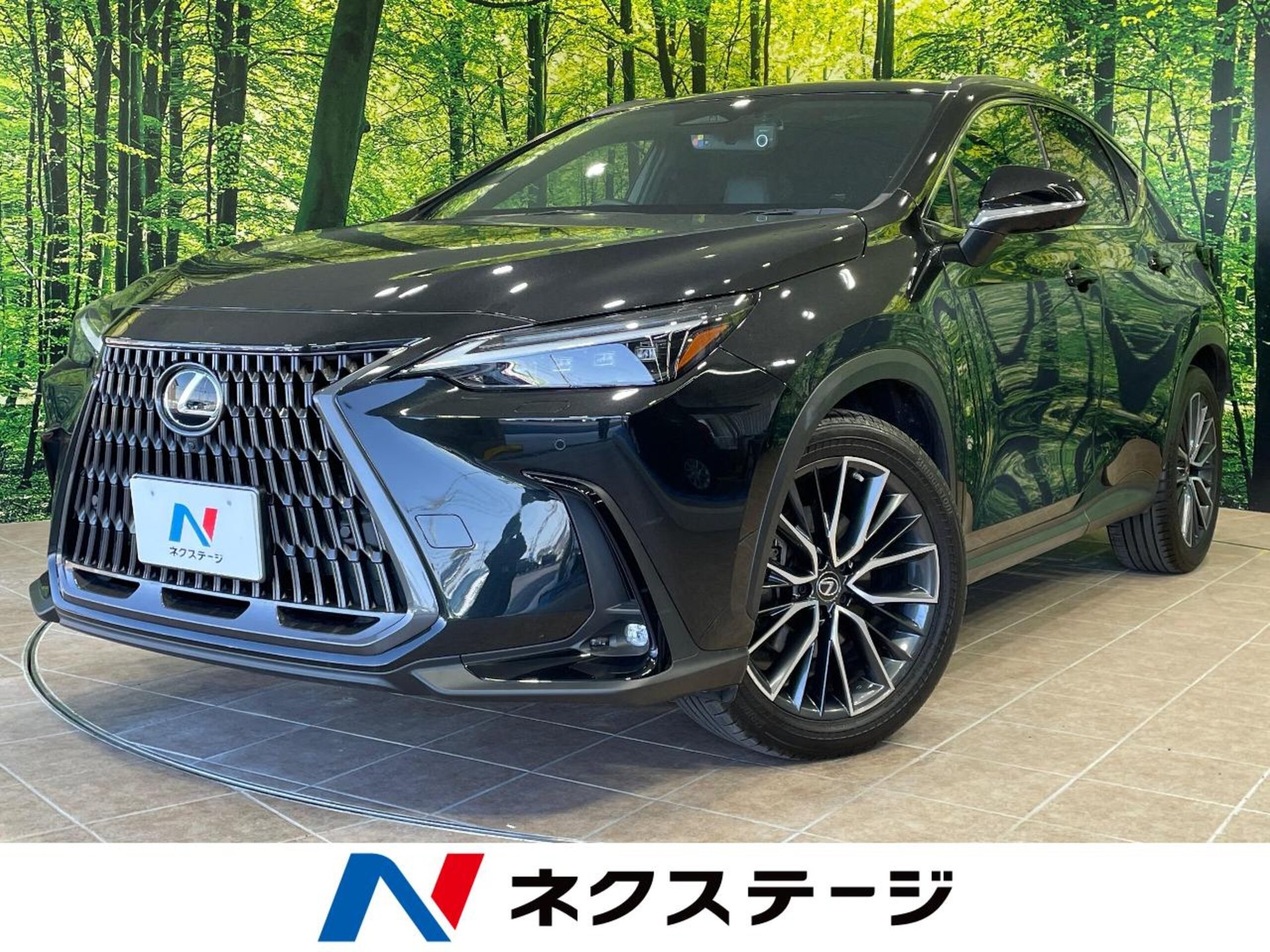 LEXUS NX - View 1