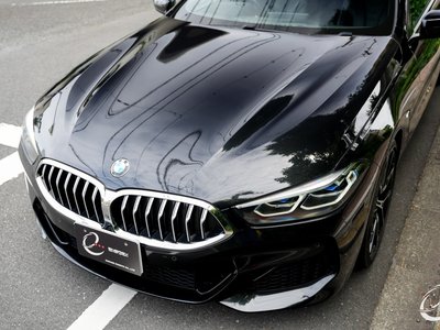 2019 BMW 8 SERIES GRAN COUPE 缩略图 12
