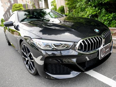 2019 BMW 8 SERIES GRAN COUPE 缩略图 133