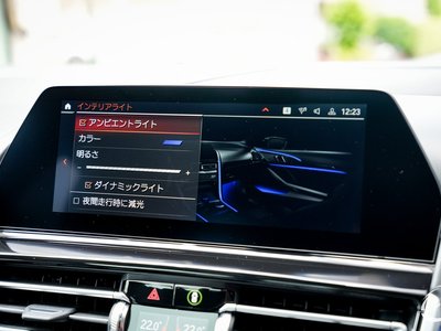 2019 BMW 8 SERIES GRAN COUPE 缩略图 92