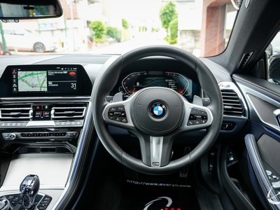 2019 BMW 8 SERIES GRAN COUPE 缩略图 113