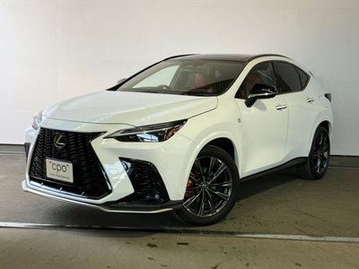LEXUS NX - 1