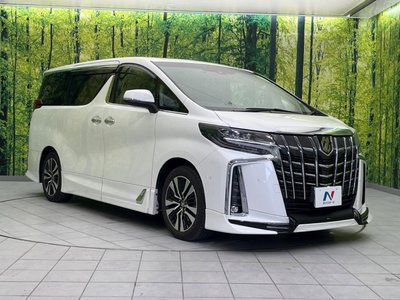 2023 Toyota ALPHARD 缩略图 17