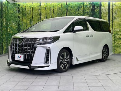 2023 Toyota ALPHARD 缩略图 31