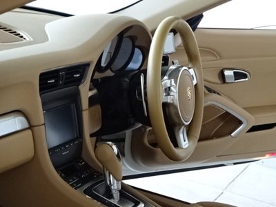 2014 Porsche 911 缩略图 20