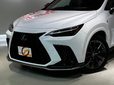 LEXUS NX - 2