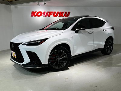 LEXUS NX - 4