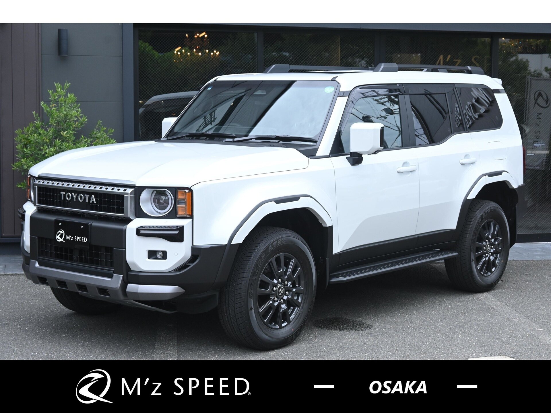 TOYOTA LAND CRUISER 250 - View 1